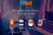 Giới thiệu đôi nét về nhà cái cá cược D9bet